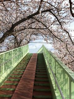 馬込川