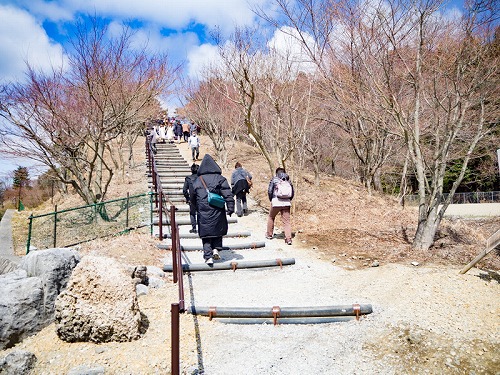 一生に一度は見たい景色。いなべ市梅林公園