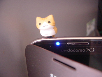 ラブペさんからの猫の日プレゼント♪