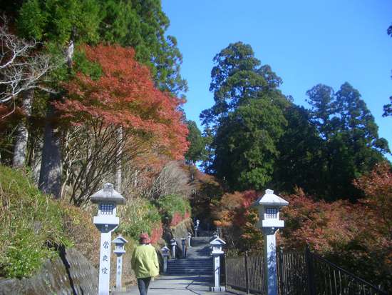 遠州「紅葉狩り」めぐり！小国神社の宮川沿い散策がオススメ！その時の景色が宝物