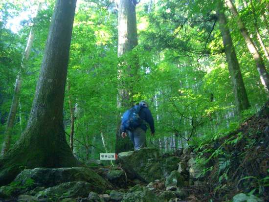 私の山の歩き方・ぼっち歩きの宝物さがし