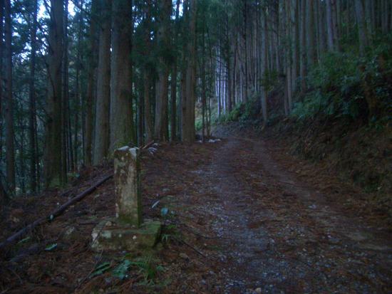 愛知鳳来寺山の鷹打場・天狗岩からの空！丁石残る参道で湯谷峠・行者越を越えて周回！