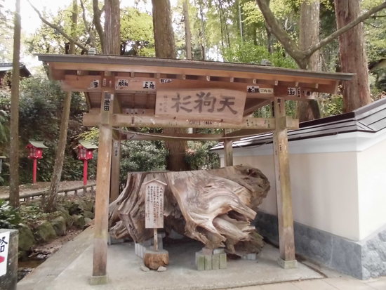 目の霊山「油山寺」御開帳中！薬師本堂まで250段を歩く！足腰の神様にも健康祈願