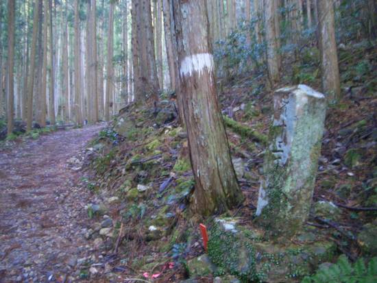 愛知鳳来寺山の鷹打場・天狗岩からの空！丁石残る参道で湯谷峠・行者越を越えて周回！