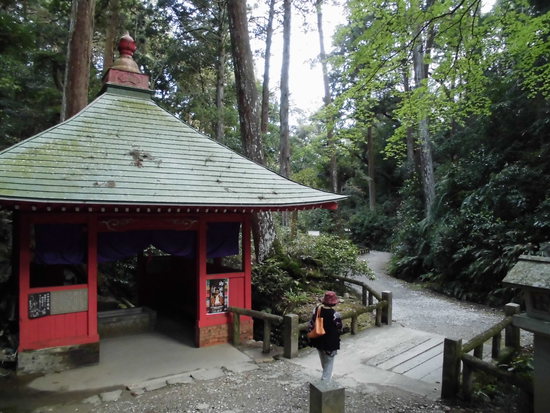 目の霊山「油山寺」御開帳中！薬師本堂まで250段を歩く！足腰の神様にも健康祈願