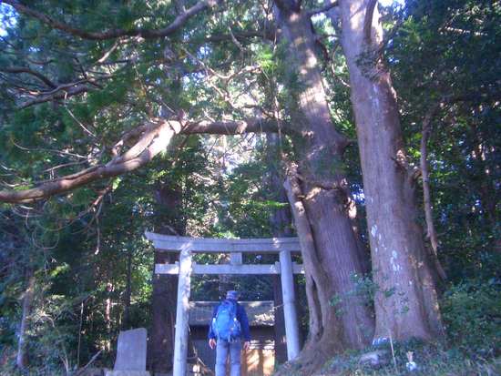 小国神社から本宮山の神聖なる山頂「奥磐戸神社」へ！ピーク越えが続く試練の道