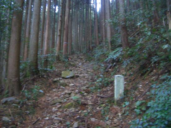 愛知鳳来寺山の鷹打場・天狗岩からの空！丁石残る参道で湯谷峠・行者越を越えて周回！