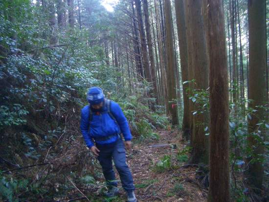 愛知鳳来寺山の鷹打場・天狗岩からの空！丁石残る参道で湯谷峠・行者越を越えて周回！