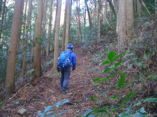 愛知鳳来寺山の鷹打場・天狗岩からの空！丁石残る参道で湯谷峠・行者越を越えて周回！