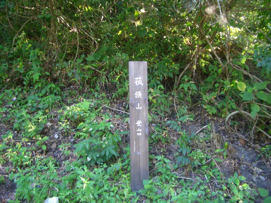 半夏生の里から菰張山へ②徳川家康ゆかりの山の長い長い林道ウォーキング