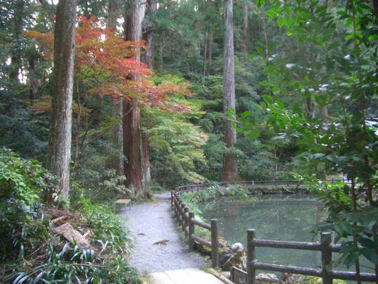 遠州「紅葉狩り」めぐり！小国神社の宮川沿い散策がオススメ！その時の景色が宝物