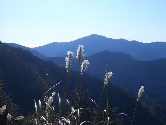 八高山を掛川黒俣から周回！山頂まで最短・整備された歩きやすいハイキングコース