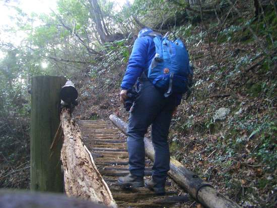 愛知鳳来寺山の鷹打場・天狗岩からの空！丁石残る参道で湯谷峠・行者越を越えて周回！