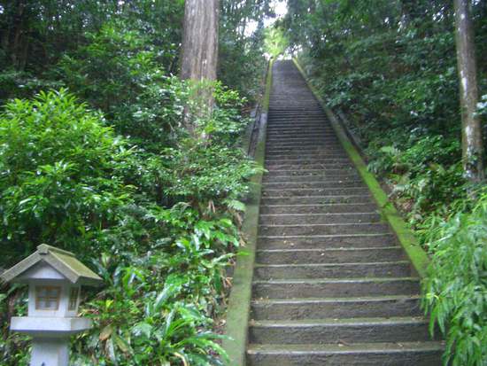 油山寺の大使山の森を歩く！健康は足にあり！観音様が見守る霊場めぐり