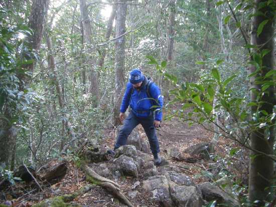 愛知鳳来寺山の鷹打場・天狗岩からの空！丁石残る参道で湯谷峠・行者越を越えて周回！
