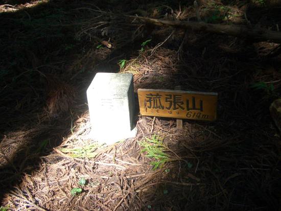 半夏生の里から菰張山へ②徳川家康ゆかりの山の長い長い林道ウォーキング