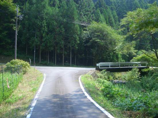 半夏生の里から菰張山へ②徳川家康ゆかりの山の長い長い林道ウォーキング