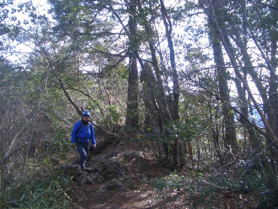 愛知鳳来寺山の鷹打場・天狗岩からの空！丁石残る参道で湯谷峠・行者越を越えて周回！