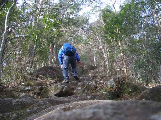 愛知鳳来寺山の鷹打場・天狗岩からの空！丁石残る参道で湯谷峠・行者越を越えて周回！