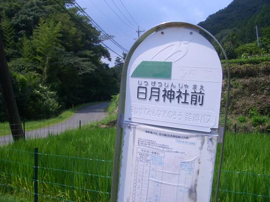 半夏生の里から菰張山へ②徳川家康ゆかりの山の長い長い林道ウォーキング