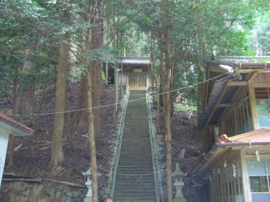 半夏生の里から菰張山へ②徳川家康ゆかりの山の長い長い林道ウォーキング