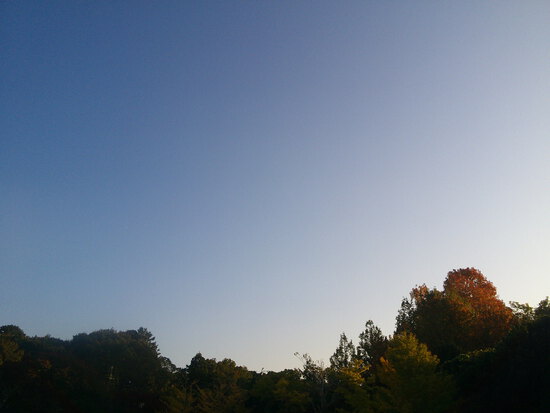 【はままつの空】11/7~11/13　一週間の空の欠片まとめ