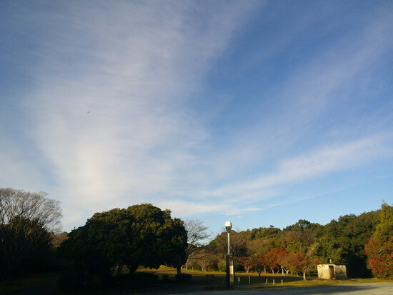 【はままつの空】11/28～12/4　一週間の空の欠片まとめ