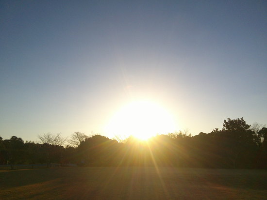 【はままつの空】2/28～3/6　一週間の空の欠片まとめ