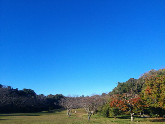 【はままつの空】11/14~11/20　一週間の空の欠片まとめ