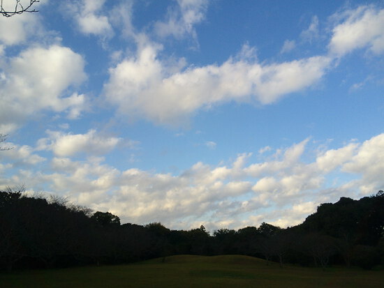【はままつの空】11/28～12/4　一週間の空の欠片まとめ