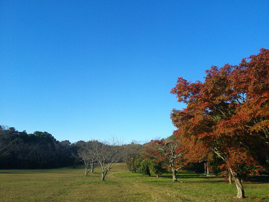 【はままつの空】11/28～12/4　一週間の空の欠片まとめ