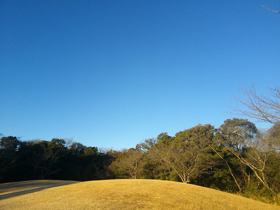 【はままつの空】2/14～2/20　一週間の空の欠片まとめ