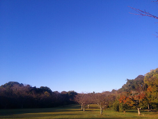 【はままつの空】10/31~11/6　一週間の空の欠片まとめ