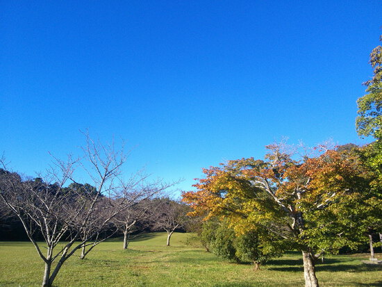 【はままつの空】10/24~10/30　一週間の空の欠片まとめ