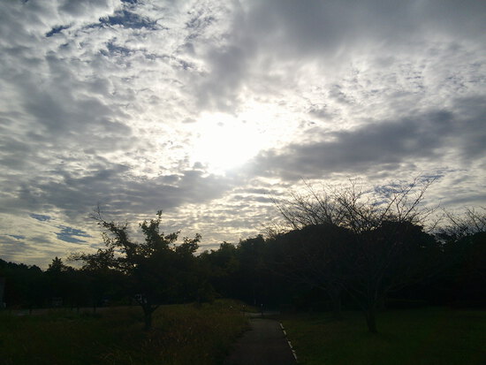 【はままつの空2023】10/2～10/8　一週間の空の欠片まとめ