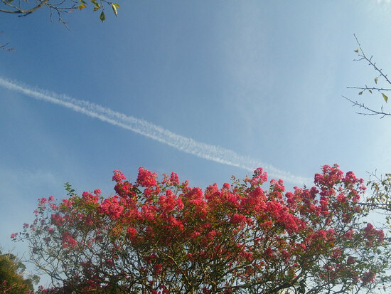 【はままつの空】9/12~9/18　一週間の空の欠片まとめ
