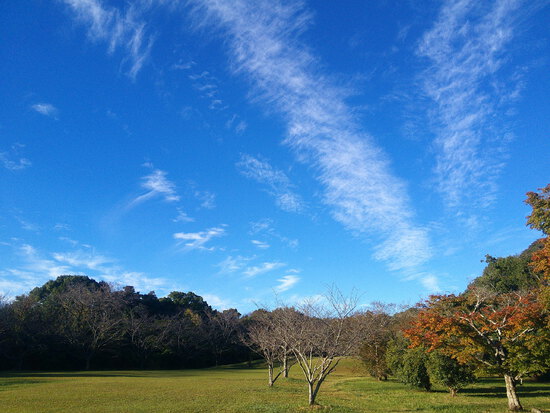 【はままつの空】10/31~11/6　一週間の空の欠片まとめ