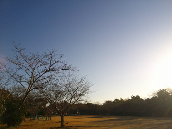【はままつの空2023】1/30～2/5　一週間の空の欠片まとめ