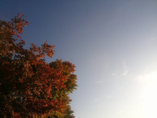 【はままつの空2020】10/26～11/1　一週間の空の欠片まとめ