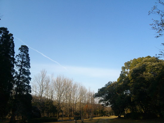 【はままつの空】3/7～3/13　一週間の空の欠片まとめ