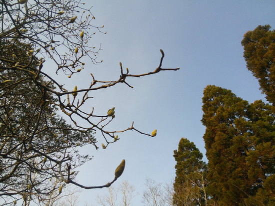 【はままつの空】3/7～3/13　一週間の空の欠片まとめ