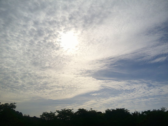【はままつの空】5/9～5/15　一週間の空の欠片まとめ