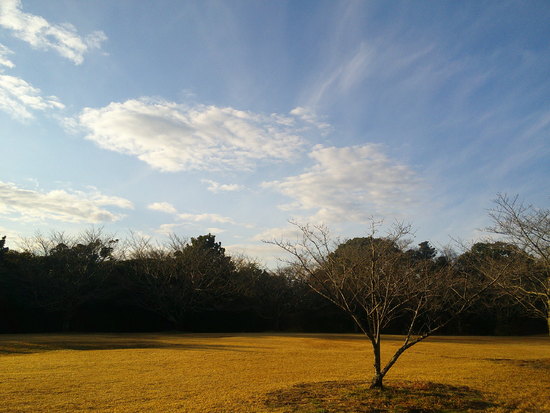 【はままつの空】2/14～2/20　一週間の空の欠片まとめ
