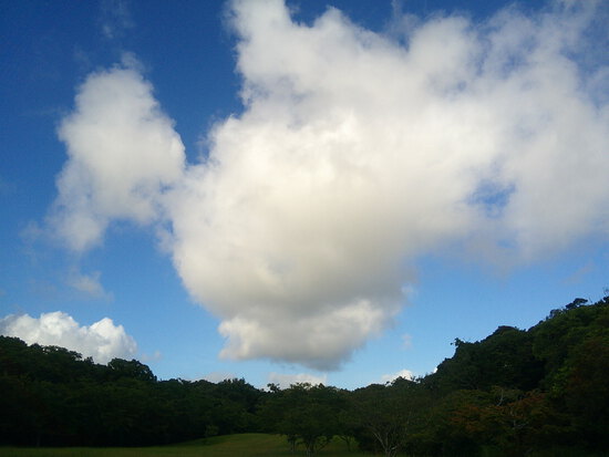 【はままつの空】8/1～8/7　一週間の空の欠片まとめ