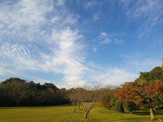 【はままつの空】11/7~11/13　一週間の空の欠片まとめ