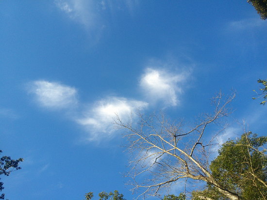 【はままつの空2020】10/26～11/1　一週間の空の欠片まとめ