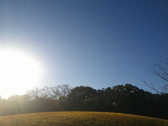 【はままつの空】11/14~11/20　一週間の空の欠片まとめ