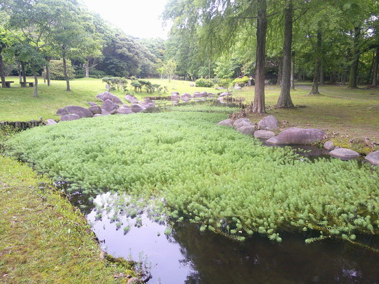 【はままつの空】6/7～6/13　一週間の空の欠片まとめ