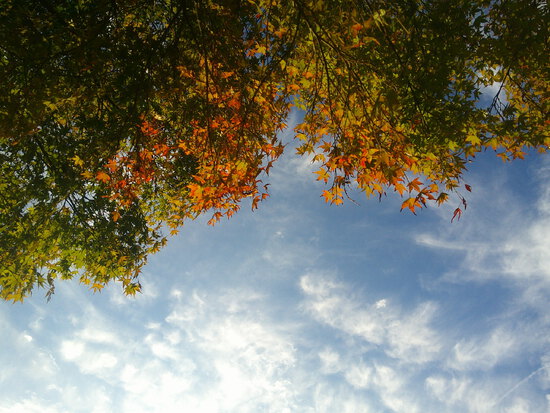 【はままつの空】11/7~11/13　一週間の空の欠片まとめ