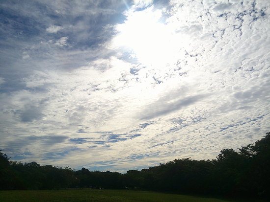 【はままつの空2021】6/14～6/20　一週間の空の欠片まとめ
